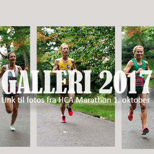 GALLERI 2017 - nye billeder fra OFA